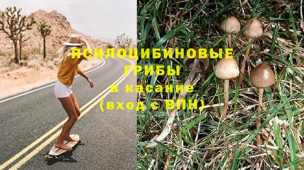 герыч Осинники