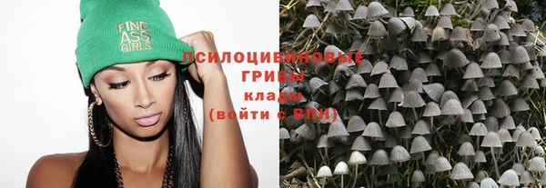 прущие грибы Алексин
