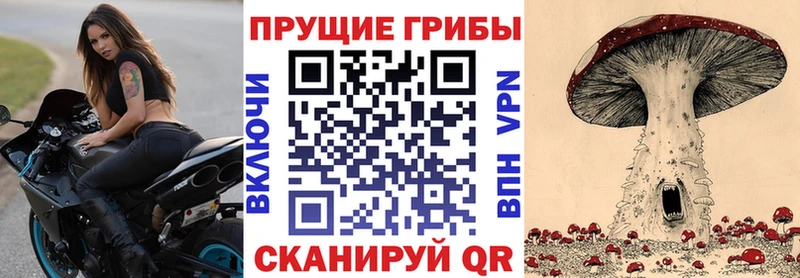 Галлюциногенные грибы Cubensis  Партизанск 